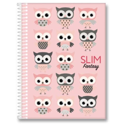 Caderno Universitário 10x1 160 Folhas Espiral Capa Dura Slim 20x28 cm Sortido Romitec