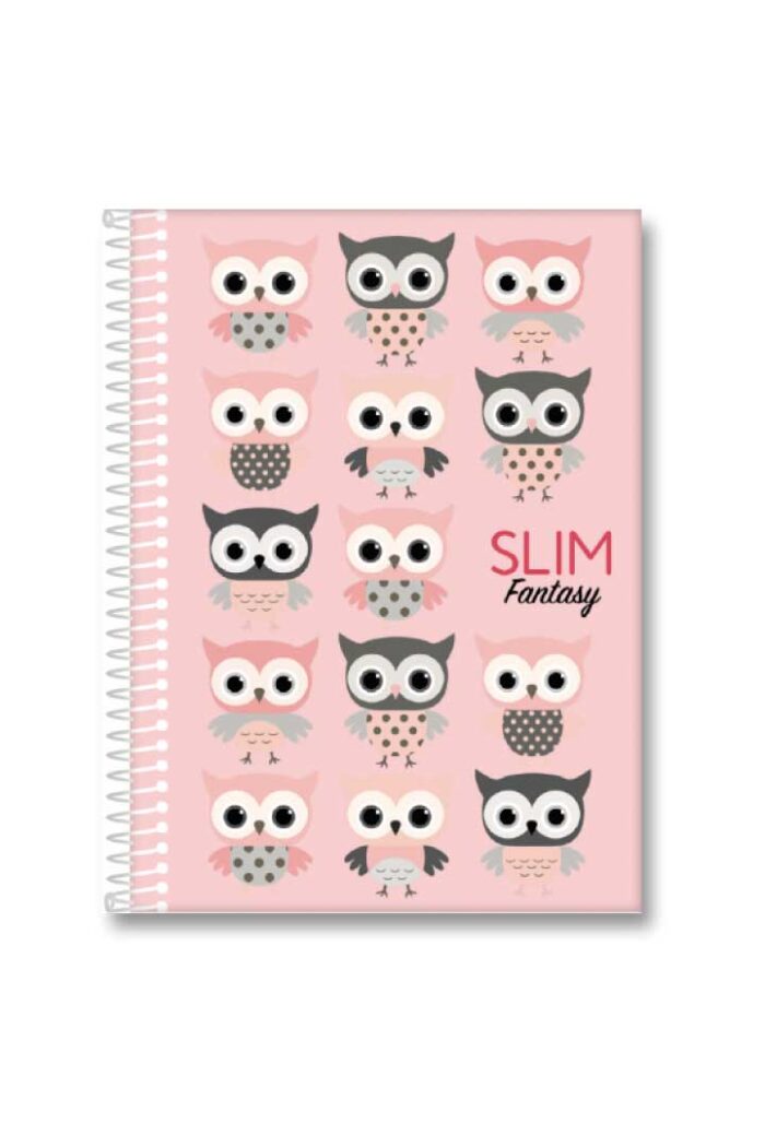 Caderno Universitário 10X1 160 Folhas Espiral Capa Dura Slim Sortidos