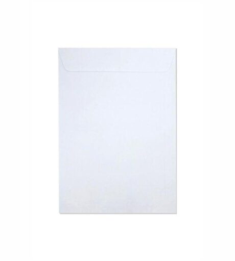 Envelope Saco Br32 229mm X 324mm Branco com 100