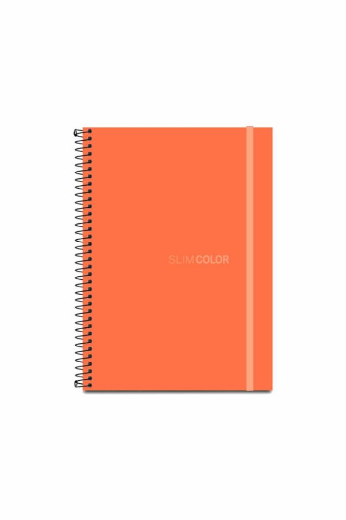 Caderno Colegial 1X1 80 Folhas Espiral Capa PP com bolsa e elástico Coral