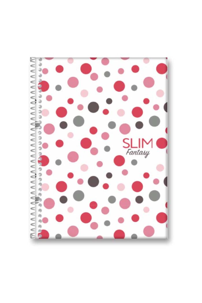 Caderno Universitário 1X1 80 Folhas Espiral Capa Dura Slim Sortidos