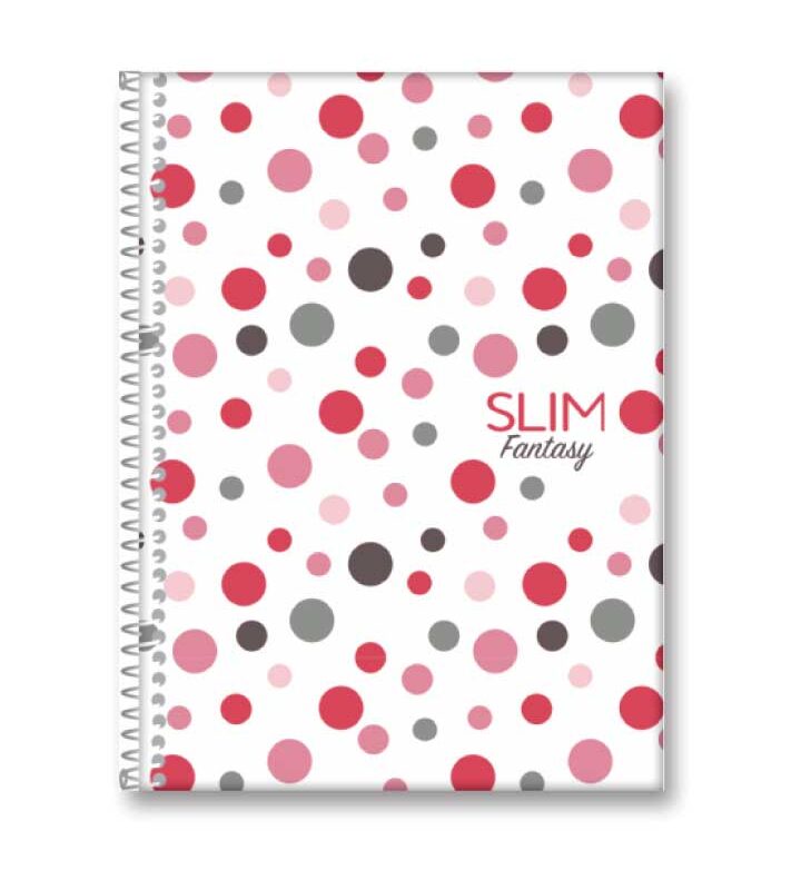 Caderno Universitário 1X1 80 Folhas Espiral Capa Dura Slim Sortidos