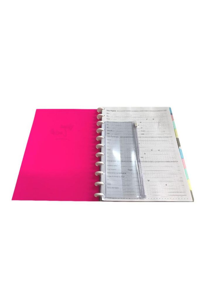 Caderno Universitário 50 Folhas Disco Capa PP com estojo régua e 10 divisórias Pink - Imagem 2