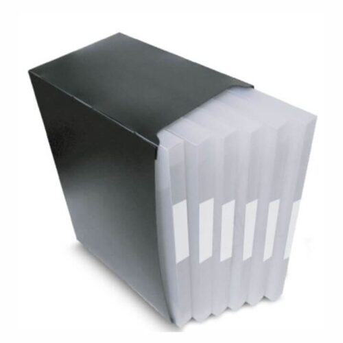 Caixa Organizadora de Mesa com 6 Pastas Aba Encaixe Lombada 2 cm Transparentes PP 24x32x24 cm Preto PlastPark