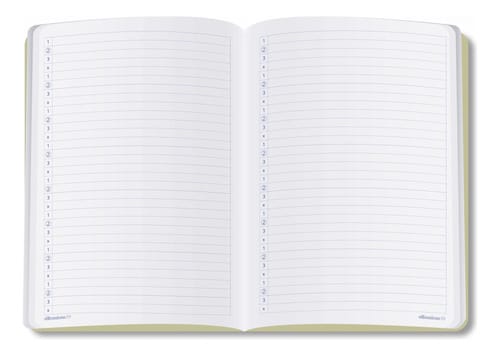Caderno Alibombom Brochurão 60 Folhas Capa Flexível Pautas Numeradas 123x 31x22 cm Vermelho Romitec - Imagem 2