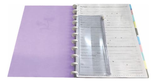 Caderno Colegial 50 Folhas Disco Capa PP com Estojo Régua e 10 Divisórias 18x24 cm Lilás Romitec - Imagem 2