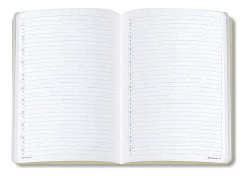 Caderno Alibombom Brochurão 60 Folhas Capa Flexível Pautas Numeradas 123 31x22 cm Verde Romitec - Imagem 2